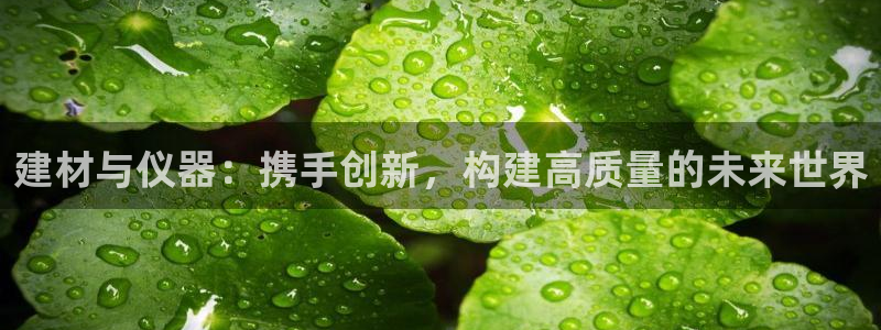 恒行5娱乐：建材与仪器：携手创新，构建高质量的未来世界