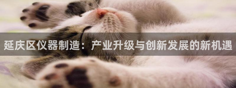 恒行开户全2O5o5O：延庆区仪器制造：产业升级与创新发展的