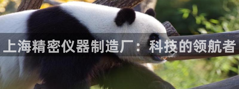 恒行2尤74OOO5：上海精密仪器制造厂：科技的领航者