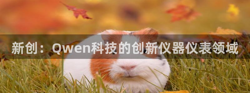 恒行开户娱乐赞议6ll5l：新创：Qwen科技的创新仪器仪表