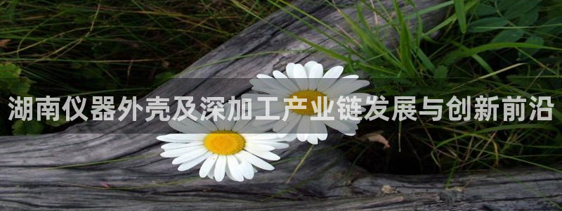 恒行娱乐鸟74ooo5判官：湖南仪器外壳及深加工产业链发展与