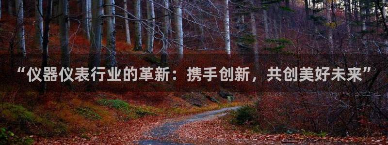 恒行主管6ll5l指定：“仪器仪表行业的革新：携手创新，共创