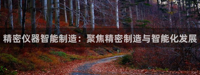 恒行主管招收 6ll5l出奇：精密仪器智能制造：聚焦精密制造