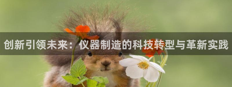 恒行2吕74OOO5：创新引领未来：仪器制造的科技转型与革新