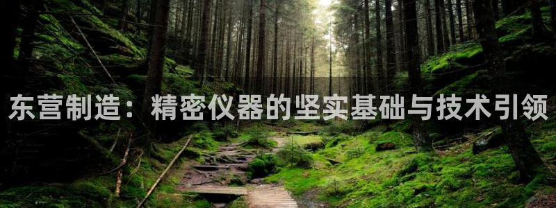 恒行彩票亏5千：东营制造：精密仪器的坚实基础与技术引领