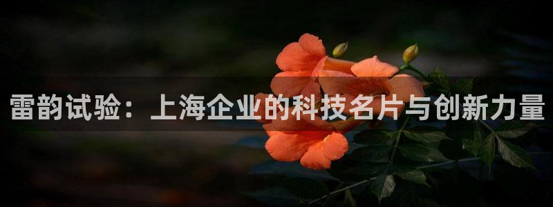 恒行2卫74OOO5：雷韵试验：上海企业的科技名片与创新力量