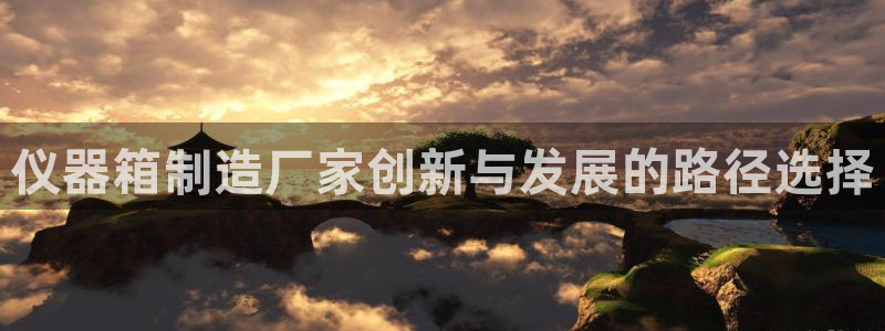 恒行娱乐蒋74OOO5：仪器箱制造厂家创新与发展的路径选择