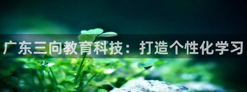 恒行注册全2O5O5O：广东三向教育科技：打造个性化学习
