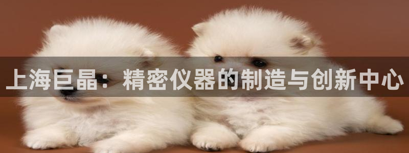 恒行彩票亏5千：上海巨晶：精密仪器的制造与创新中心