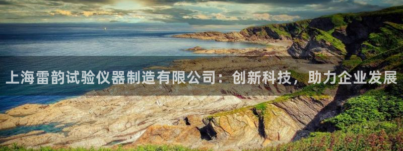 恒行2那74OOO5：上海雷韵试验仪器制造有限公司：创新科技