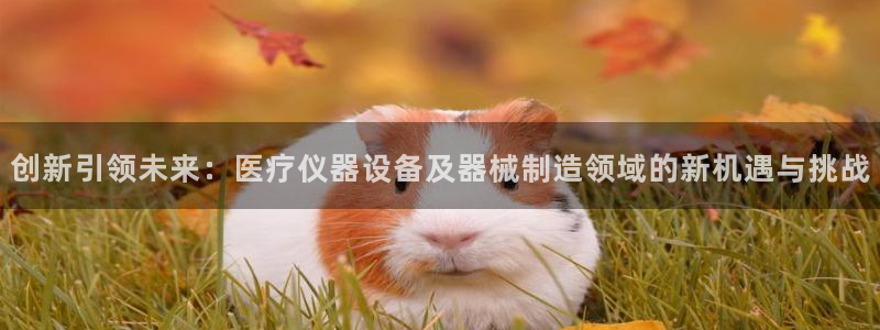 恒行2郑74OOO5：创新引领未来：医疗仪器设备及器械制造领