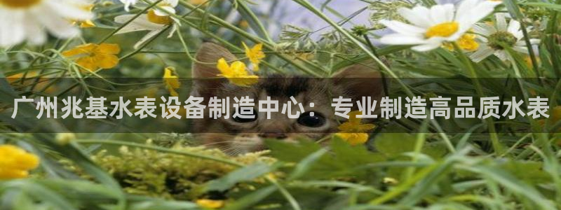 恒行娱乐芍皇74ooo5蛹：广州兆基水表设备制造中心：专业制