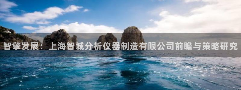 恒行2下74OO5：智擎发展：上海智城分析仪器制造有限公司前