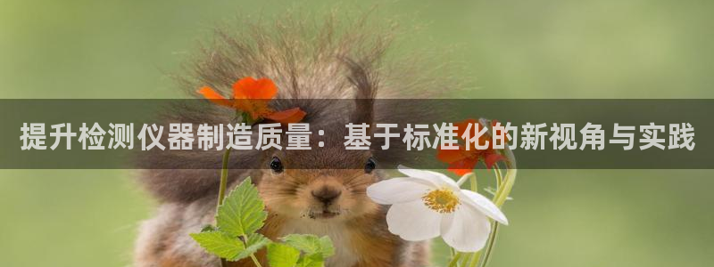 恒行开户娱乐6ll5l特惠：提升检测仪器制造质量：基于标准化