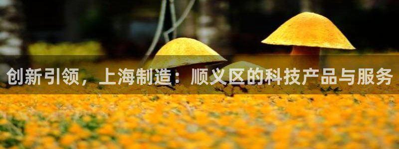 恒行娱乐河沂74ooo5程：创新引领，上海制造：顺义区的科技