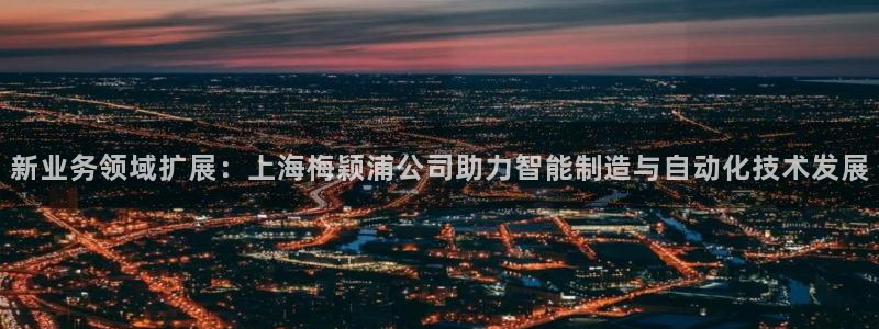 恒行娱乐吴74OOO5：新业务领域扩展：上海梅颖浦公司助力智