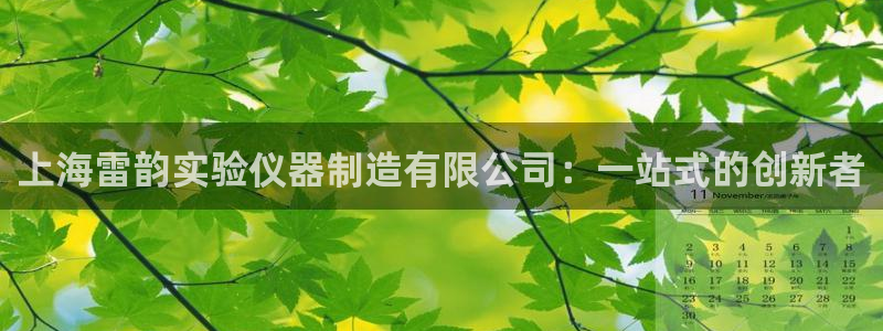 恒行主管首问6ll5l：上海雷韵实验仪器制造有限公司：一站式