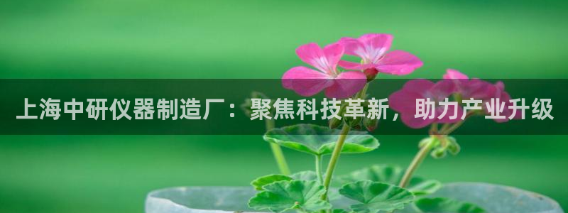 恒行娱乐登录信用 74ooo5：上海中研仪器制造厂：聚焦科技