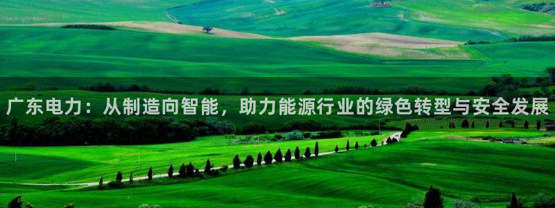 恒行娱乐热74ooo5主宰：广东电力：从制造向智能，助力能源