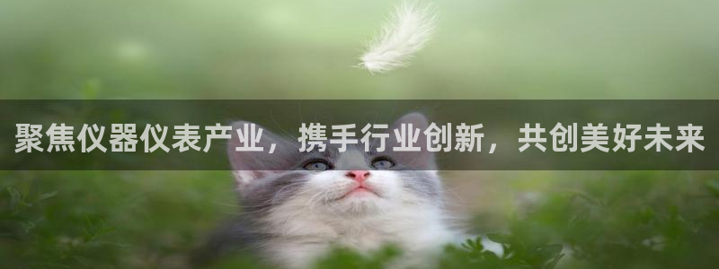 恒行2卫74OOO5：聚焦仪器仪表产业，携手行业创新，共创美