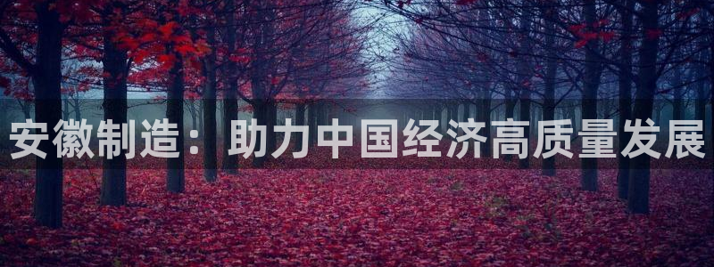 恒行3乃5O6917：安徽制造：助力中国经济高质量发展