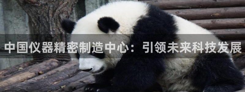 恒行2下74OO5：中国仪器精密制造中心：引领未来科技发展