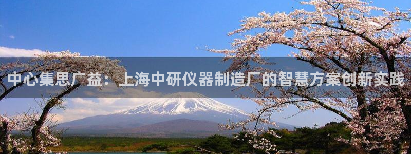 恒行2吴74OOO5：中心集思广益：上海中研仪器制造厂的智慧