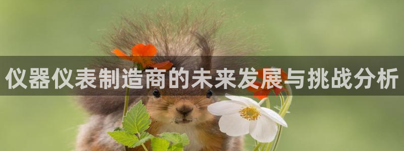 恒行娱乐寻问74 5：仪器仪表制造商的未来发展与挑战分析