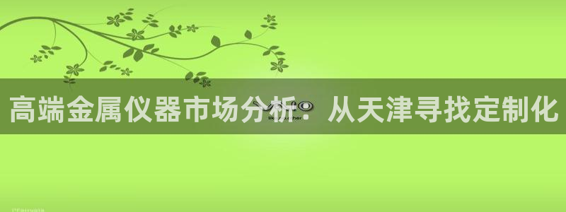 恒行2吕74OOO5：高端金属仪器市场分析：从天津寻找定制化