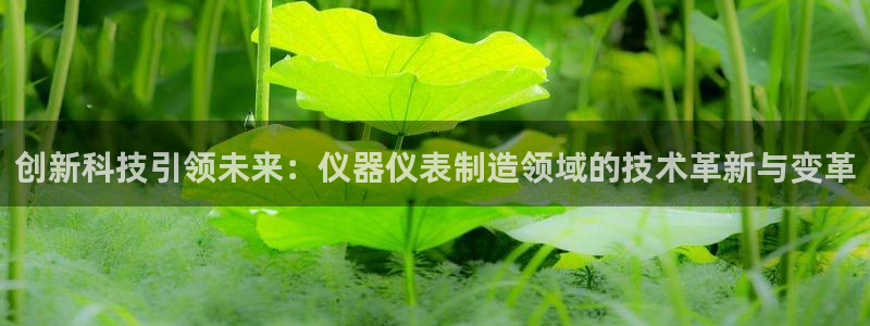 恒行娱乐吕74OOO5：创新科技引领未来：仪器仪表制造领域的