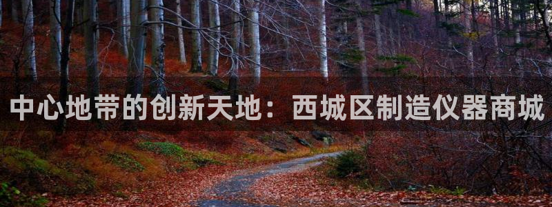 恒行主管招收 6ll5l出奇：中心地带的创新天地：西城区制造