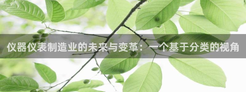 恒行娱乐郑74OOO5：仪器仪表制造业的未来与变革：一个基于