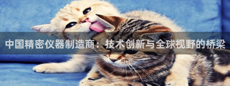 恒行2郑74OOO5：中国精密仪器制造商：技术创新与全球视野