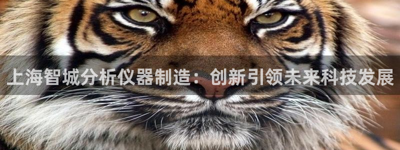 恒行2那74OO5：上海智城分析仪器制造：创新引领未来科技发
